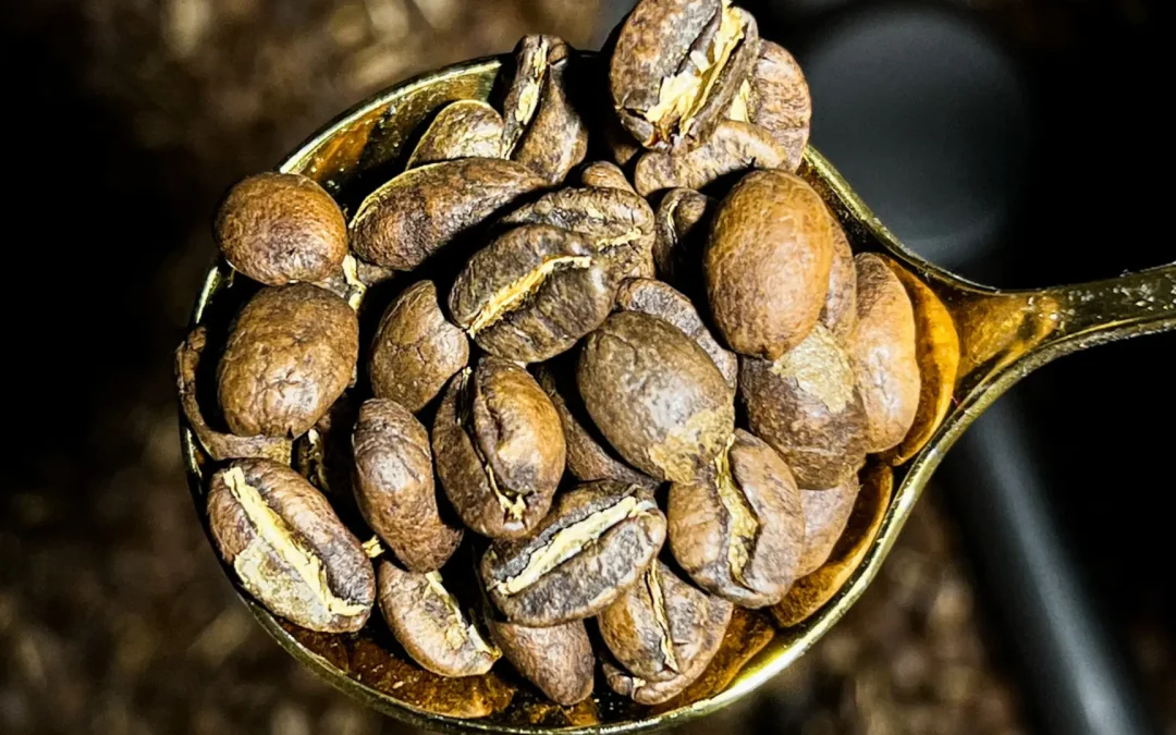 Cambios químicos en el café verde durante el tueste