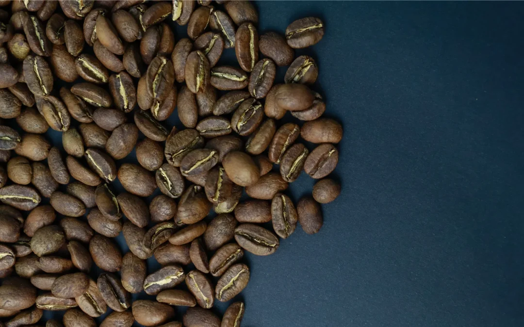 ¿Qué es el café de especialidad y por qué hace la diferencia?